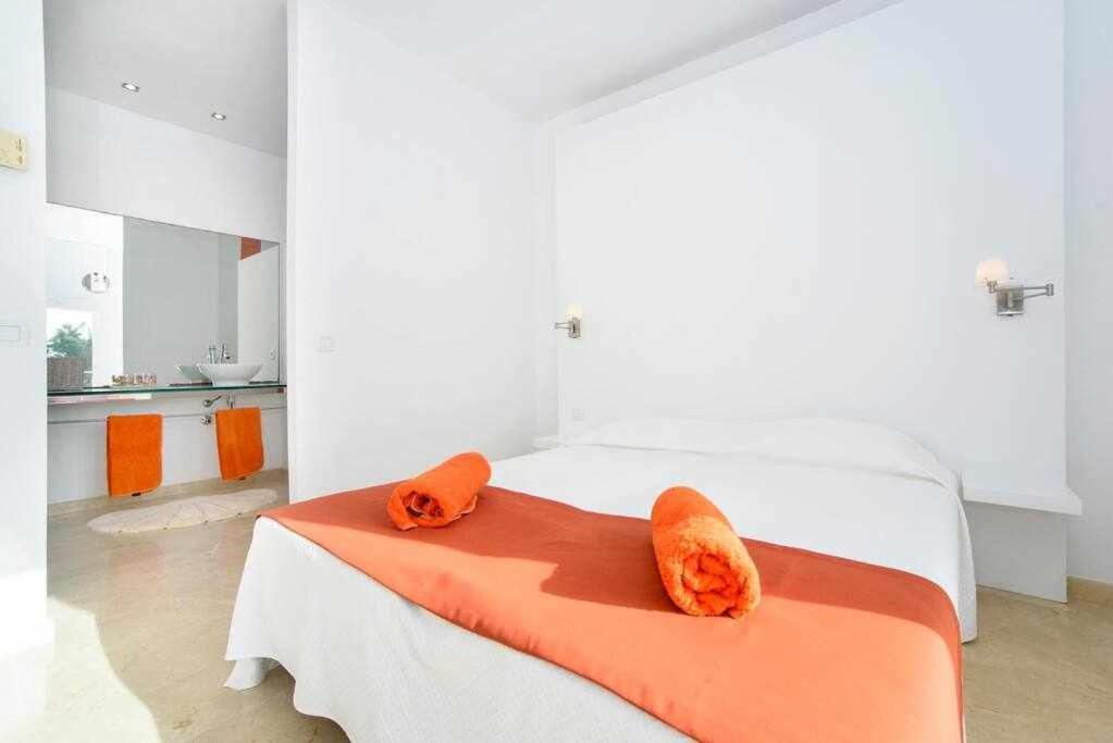 Ferienhaus Casa Con Acceso Directo Al Mar Piscina Y Wifi Portopetro